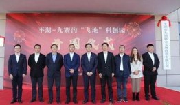 平湖最新爆料新闻,重大事件背后真相揭晓！